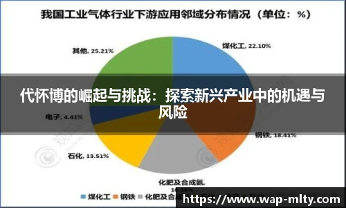 代怀博的崛起与挑战：探索新兴产业中的机遇与风险
